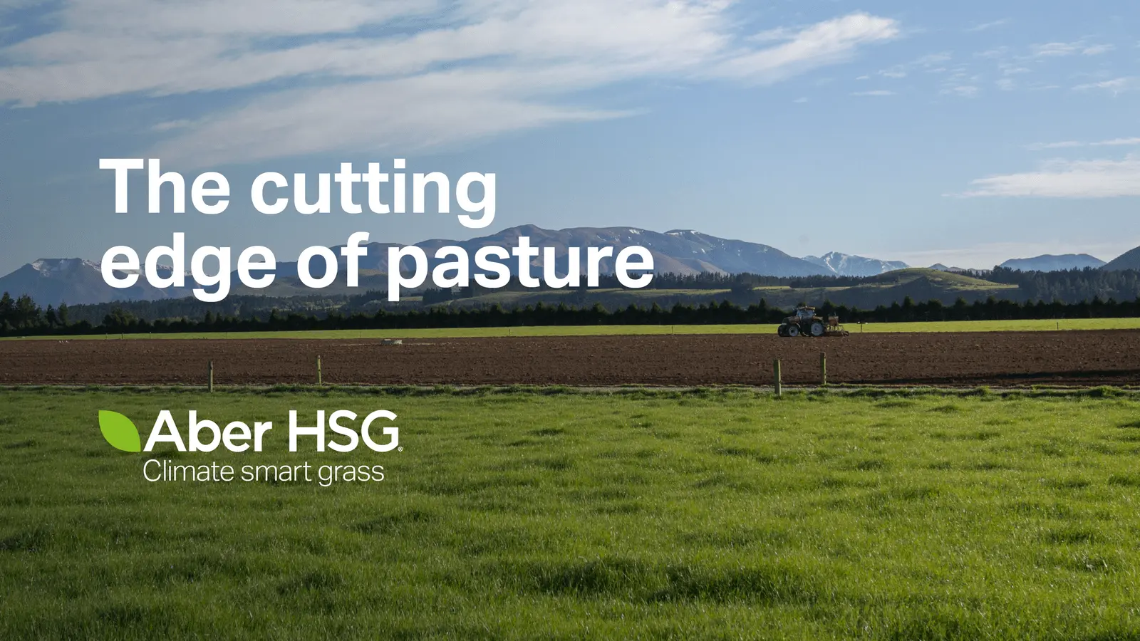 germinal's aber high sugar grasses are at the cutting edge of pasture options in New Zealand